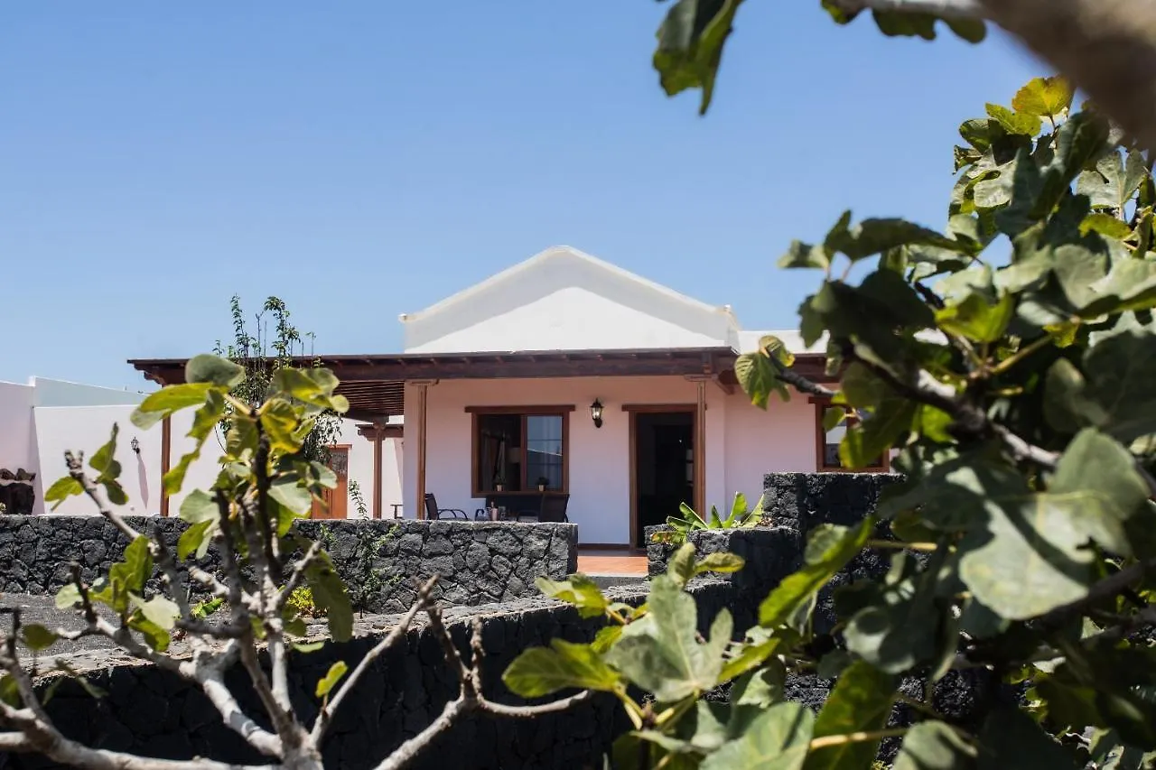 Villa Casa Lola Lanzarote Piscina Climatizada Y Wifi Free Vila San Bartolomé